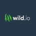 Wild.io Casino Review