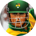 Cricket Star