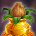 Indian Fortune
